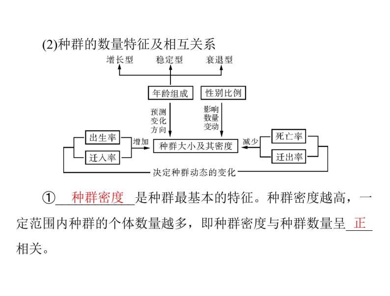 2022年《南方新课堂 高考总复习》生物 必修3 第4章 第1、2节 种群的特征、种群数量的变化课件06