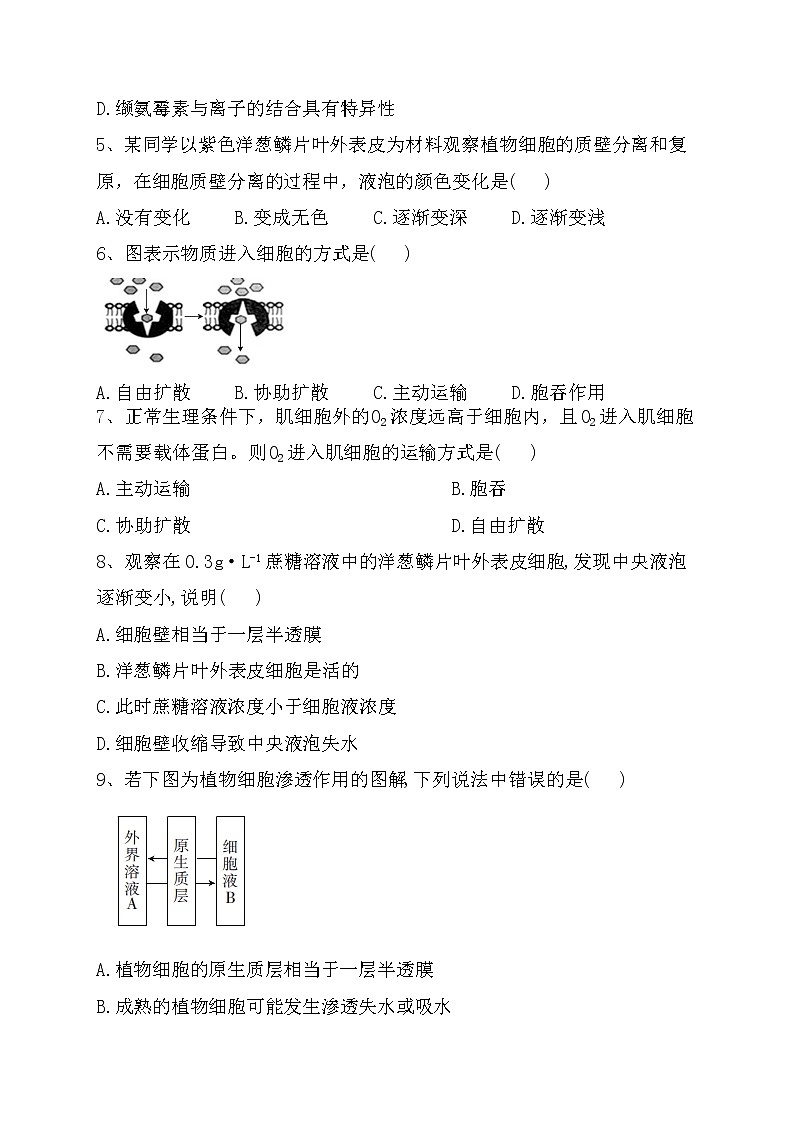 《被动运输》同步训练(附答案及解析)第2页