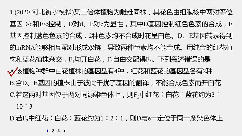 高中生物2022年高考生物一轮复习 第5单元 强化练10 探究不同对基因在常染色体上的位置问题课件PPT第2页
