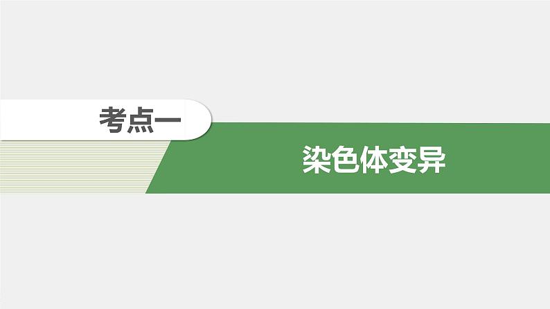 高中生物2022年高考生物一轮复习 第7单元 第21讲 染色体变异与育种课件PPT第4页