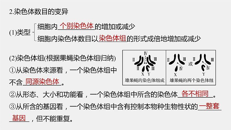 高中生物2022年高考生物一轮复习 第7单元 第21讲 染色体变异与育种课件PPT第6页