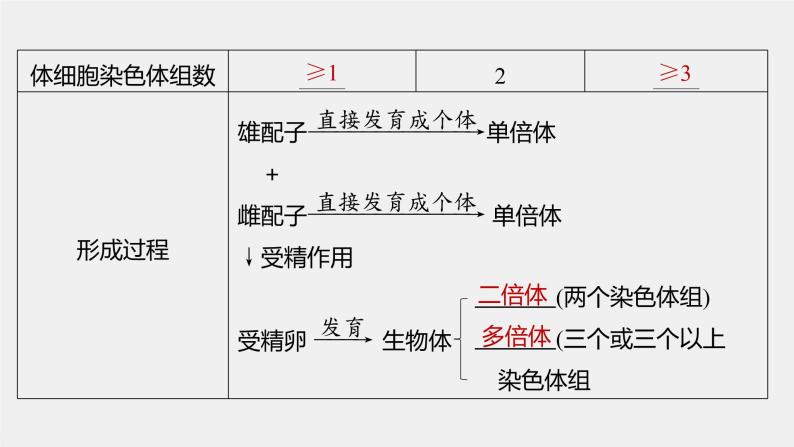 高中生物2022年高考生物一轮复习 第7单元 第21讲　染色体变异与育种课件PPT08