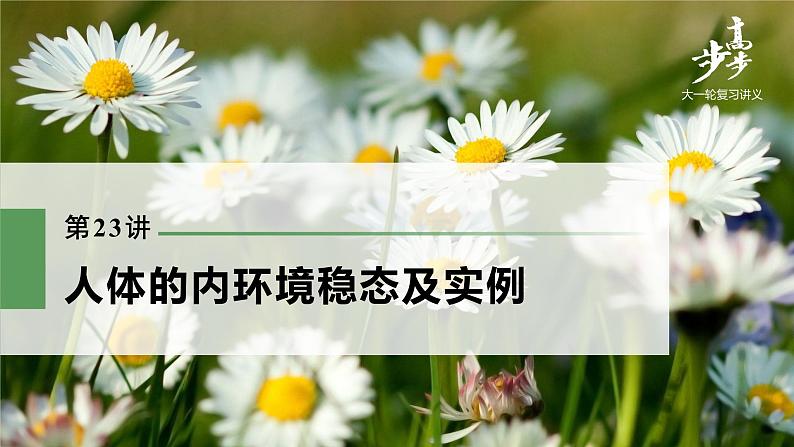 高中生物2022年高考生物一轮复习 第8单元 第23讲 人体的内环境稳态及实例课件PPT第1页