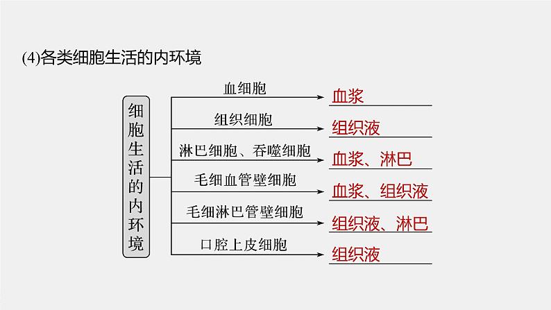 高中生物2022年高考生物一轮复习 第8单元 第23讲 人体的内环境稳态及实例课件PPT第7页