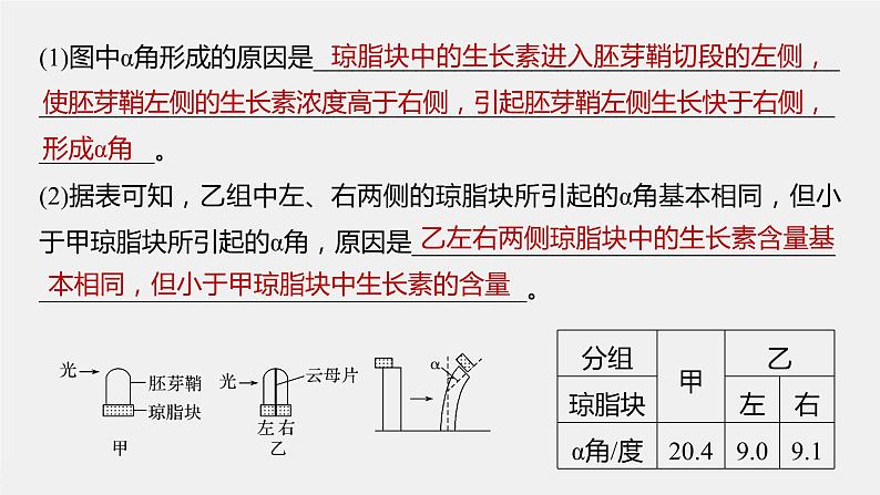 高中生物2022年高考生物一轮复习 第8单元 第27讲 热点题型九 植物激素调节的相关实验探究课件PPT第2页