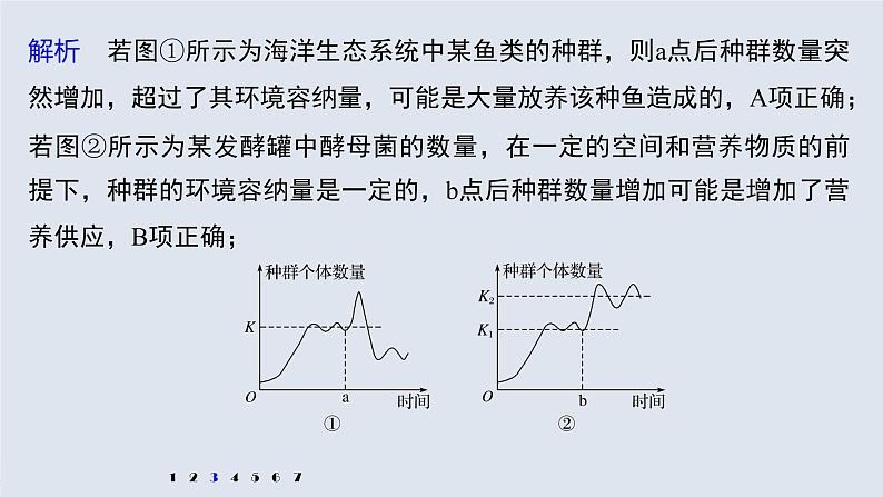 高中生物2022年高考生物一轮复习 第9单元 强化练19 种群的增长曲线课件PPT第8页