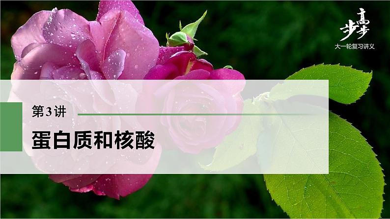 高中生物2022年高考生物一轮复习 第1单元 第3讲 蛋白质和核酸课件PPT第1页