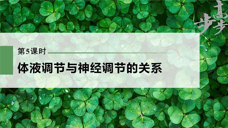 高中生物2023年高考生物一轮复习(新人教新高考) 第8单元 第5课时 体液调节与神经调节的关系课件PPT第1页
