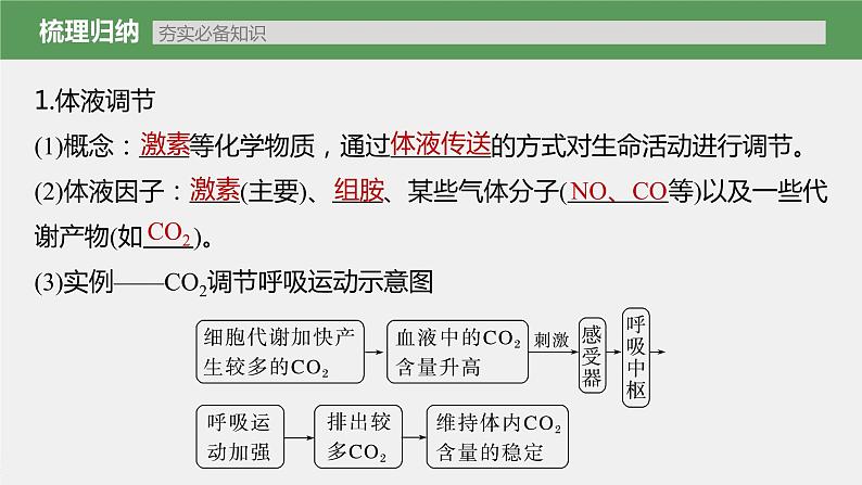 高中生物2023年高考生物一轮复习(新人教新高考) 第8单元 第5课时 体液调节与神经调节的关系课件PPT第5页