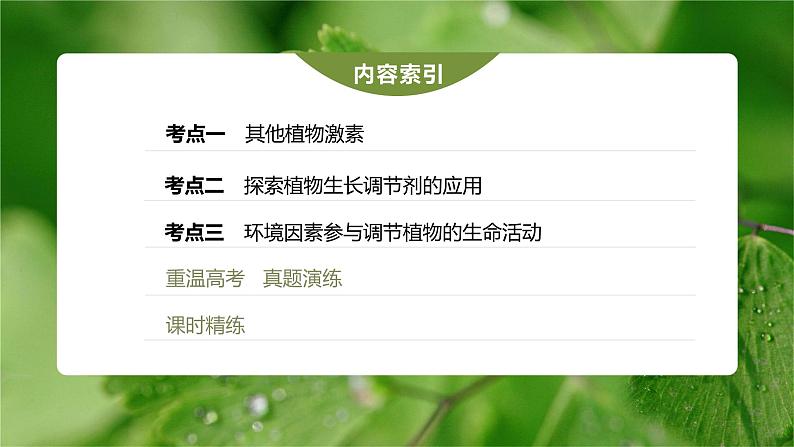 高中生物2023年高考生物一轮复习(新人教新高考) 第8单元 第9课时 其他植物激素、植物生长调节剂的应用及环境因素参与调节植物的生命活动课件PPT第3页