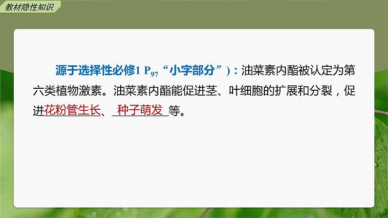 高中生物2023年高考生物一轮复习(新人教新高考) 第8单元 第9课时 其他植物激素、植物生长调节剂的应用及环境因素参与调节植物的生命活动课件PPT第7页