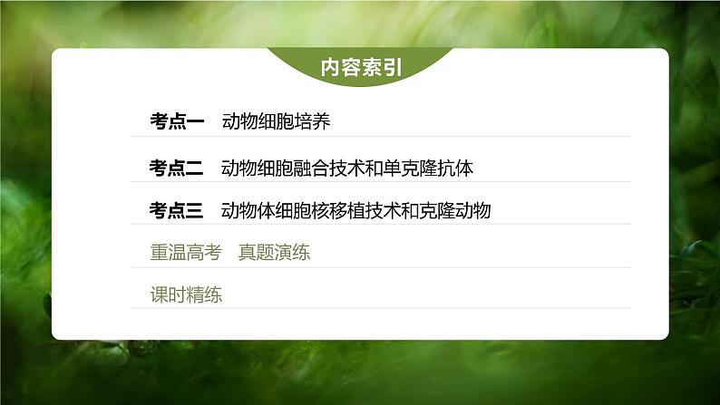 高中生物2023年高考生物一轮复习(新人教新高考) 第10单元 第4课时 动物细胞工程课件PPT03