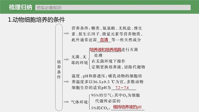 高中生物2023年高考生物一轮复习(新人教新高考) 第10单元 第4课时 动物细胞工程课件PPT05