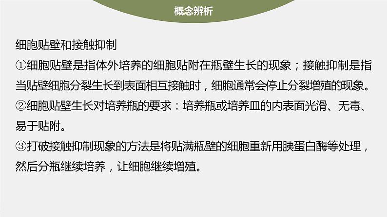 高中生物2023年高考生物一轮复习(新人教新高考) 第10单元 第4课时 动物细胞工程课件PPT07