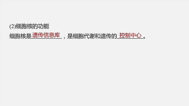 高中生物2023年高考生物一轮复习(新人教新高考) 第2单元 第4课时 细胞核的结构和功能课件PPT第8页