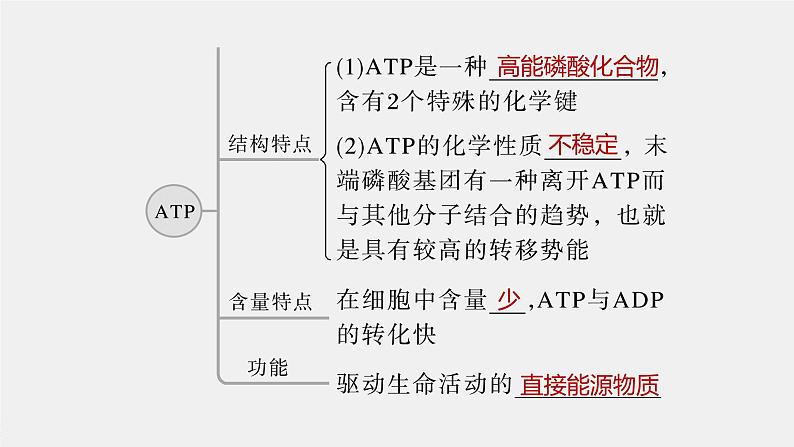 高中生物2023年高考生物一轮复习(新人教新高考) 第3单元 第2课时 细胞的能量“货币”ATP课件PPT第5页