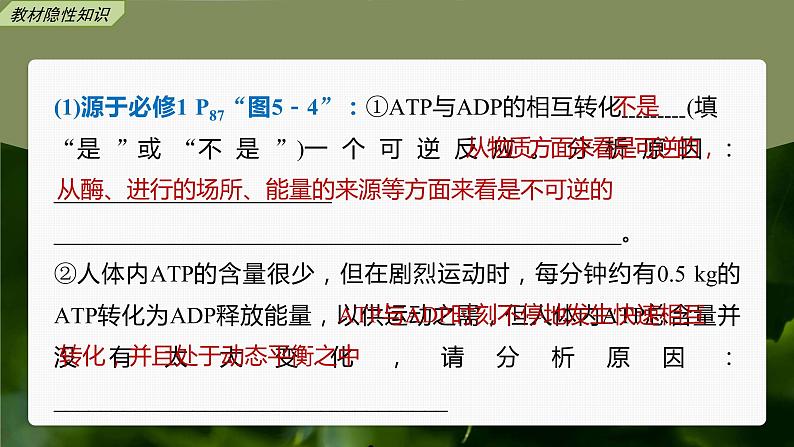 高中生物2023年高考生物一轮复习(新人教新高考) 第3单元 第2课时 细胞的能量“货币”ATP课件PPT第8页