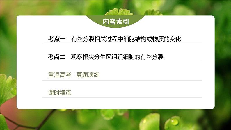 高中生物2023年高考生物一轮复习(新人教新高考) 第4单元 第2课时 有丝分裂过程中相关变化及观察实验课件PPT第3页