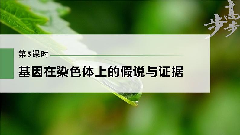 高中生物2023年高考生物一轮复习(新人教新高考) 第5单元 第5课时 基因在染色体上的假说与证据课件PPT第1页