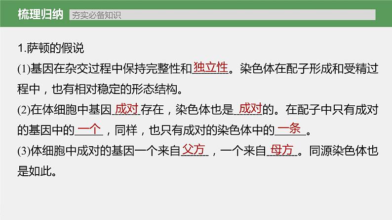 高中生物2023年高考生物一轮复习(新人教新高考) 第5单元 第5课时 基因在染色体上的假说与证据课件PPT第3页