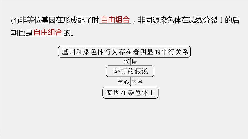 高中生物2023年高考生物一轮复习(新人教新高考) 第5单元 第5课时 基因在染色体上的假说与证据课件PPT第4页