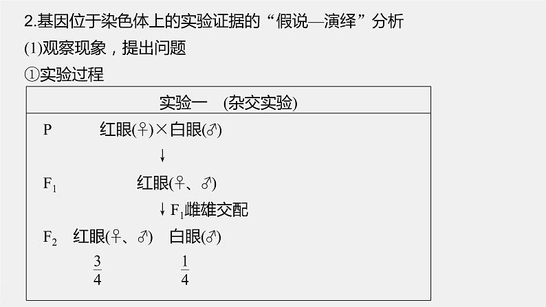 高中生物2023年高考生物一轮复习(新人教新高考) 第5单元 第5课时 基因在染色体上的假说与证据课件PPT第5页