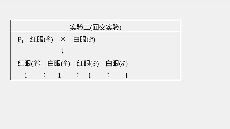 高中生物2023年高考生物一轮复习(新人教新高考) 第5单元 第5课时 基因在染色体上的假说与证据课件PPT第6页