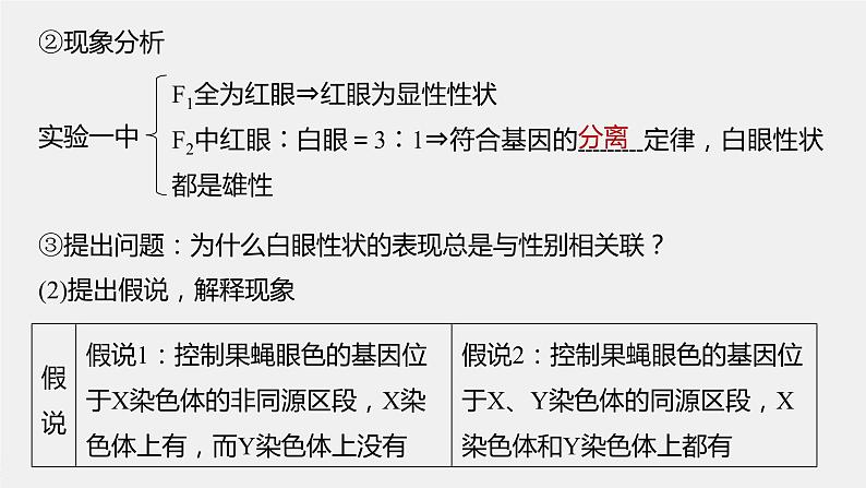 高中生物2023年高考生物一轮复习(新人教新高考) 第5单元 第5课时 基因在染色体上的假说与证据课件PPT第7页