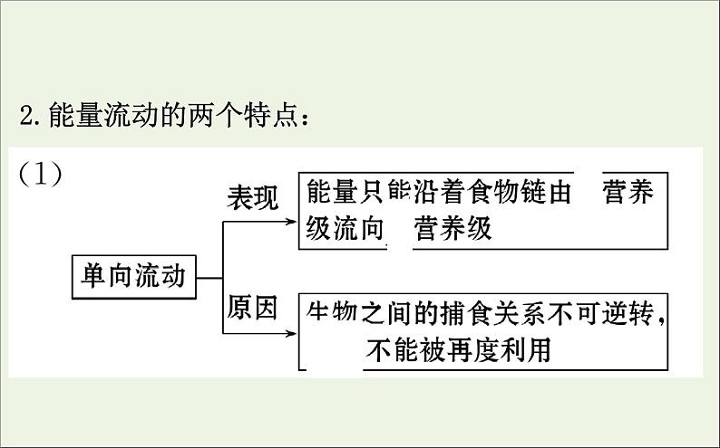 高中生物2020届高考生物一轮复习9.4生态系统的能量流动和物质循环课件第7页