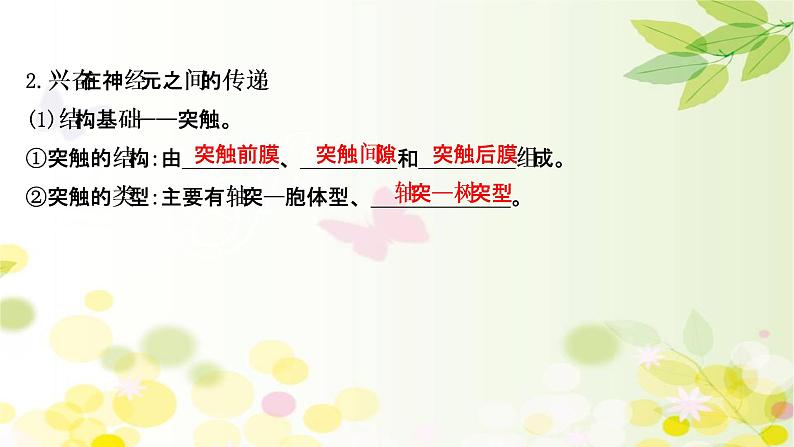 高中生物2022届新教材一轮复习人教版 第八单元 第2课 通过神经系统的调节 课件第8页