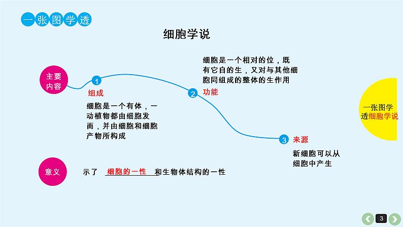 高中生物高考生物(全国版)一轮复习课件:第5课-细胞学说的建立、真核细胞和原核细胞的比较03