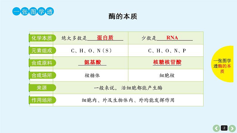 高中生物高考生物(全国版)一轮复习课件:第10课-酶第2页