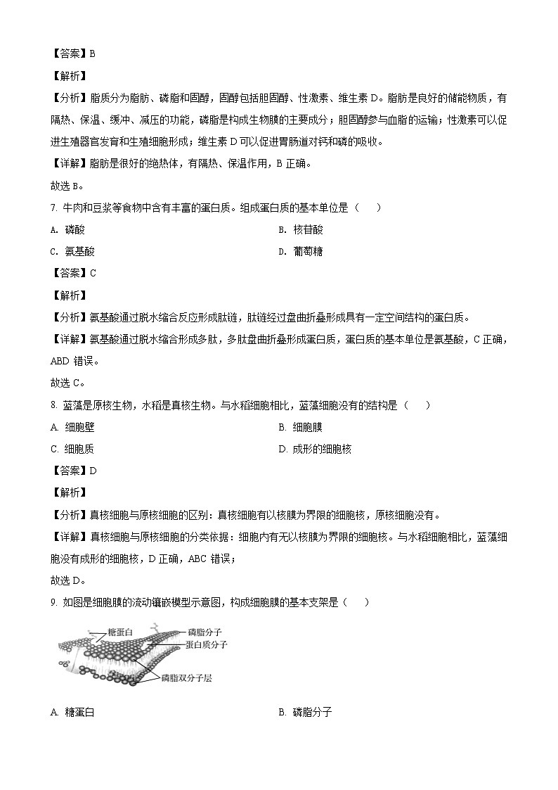 山东省济南第十一中学2023届高三上学期期中考试生物试题含解析第3页