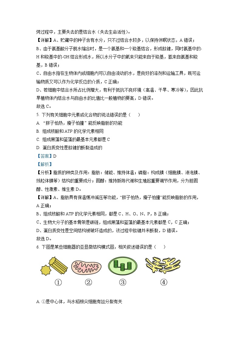 湖南省怀化市2021-2022学年高一生物上学期期末考试试卷（Word版附解析）03