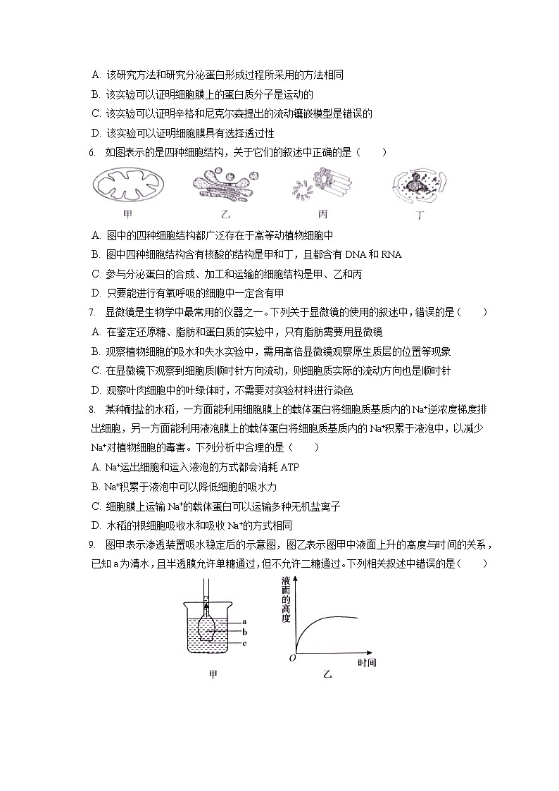 2021-2022学年安徽省池州市高一(上)期末生物试卷(含答案解析)第2页