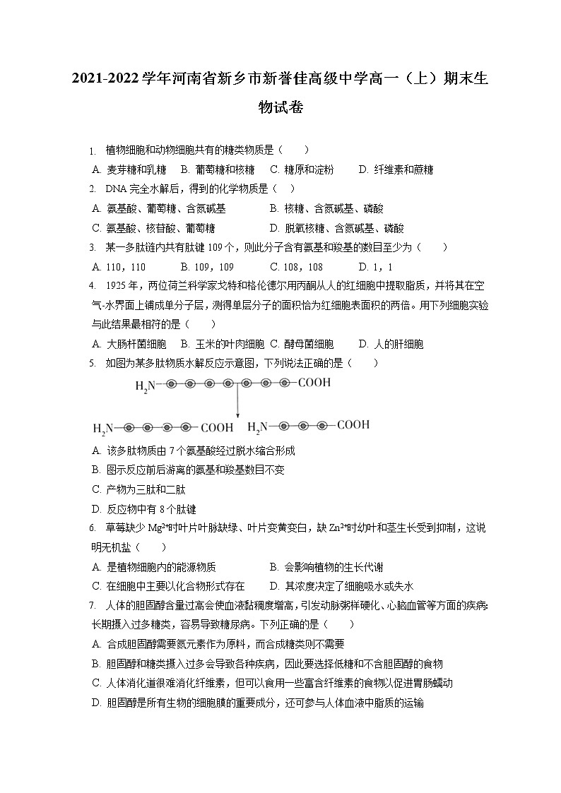 2021-2022学年河南省新乡市新誉佳高级中学高一(上)期末生物试卷(含答案解析)第1页