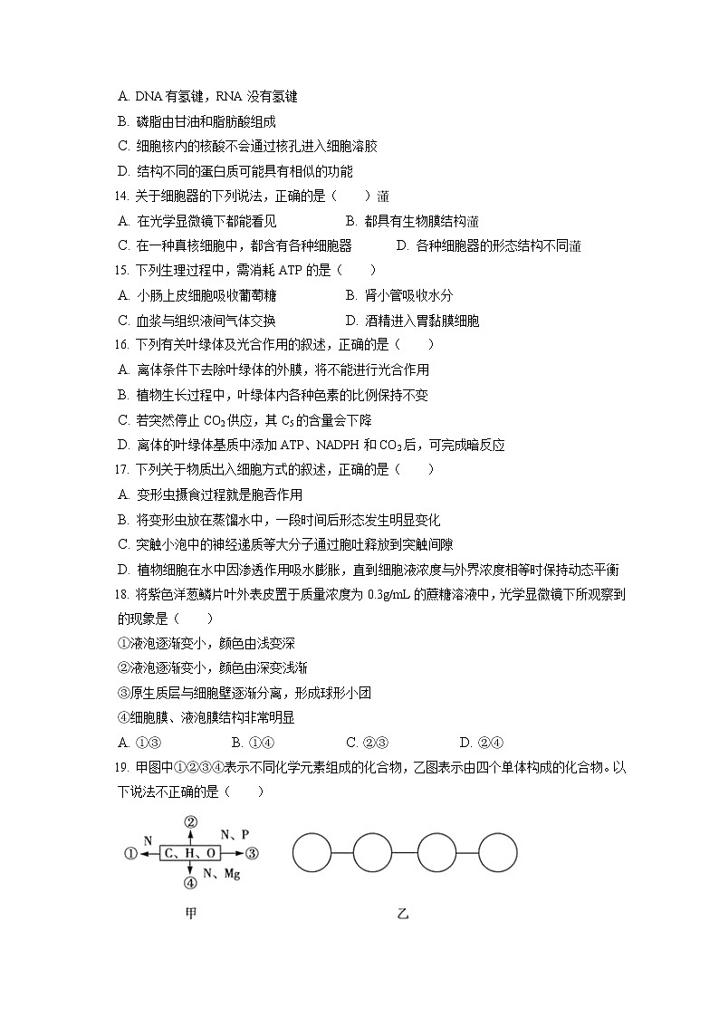 2021-2022学年河南省新乡市新誉佳高级中学高一(上)期末生物试卷(含答案解析)第3页