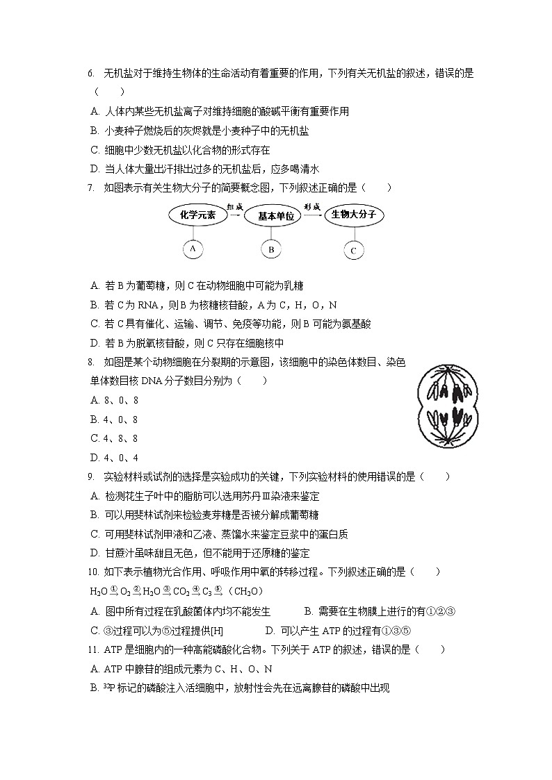 2021-2022学年吉林省白山市高一(上)期末生物试卷(含答案解析)第2页