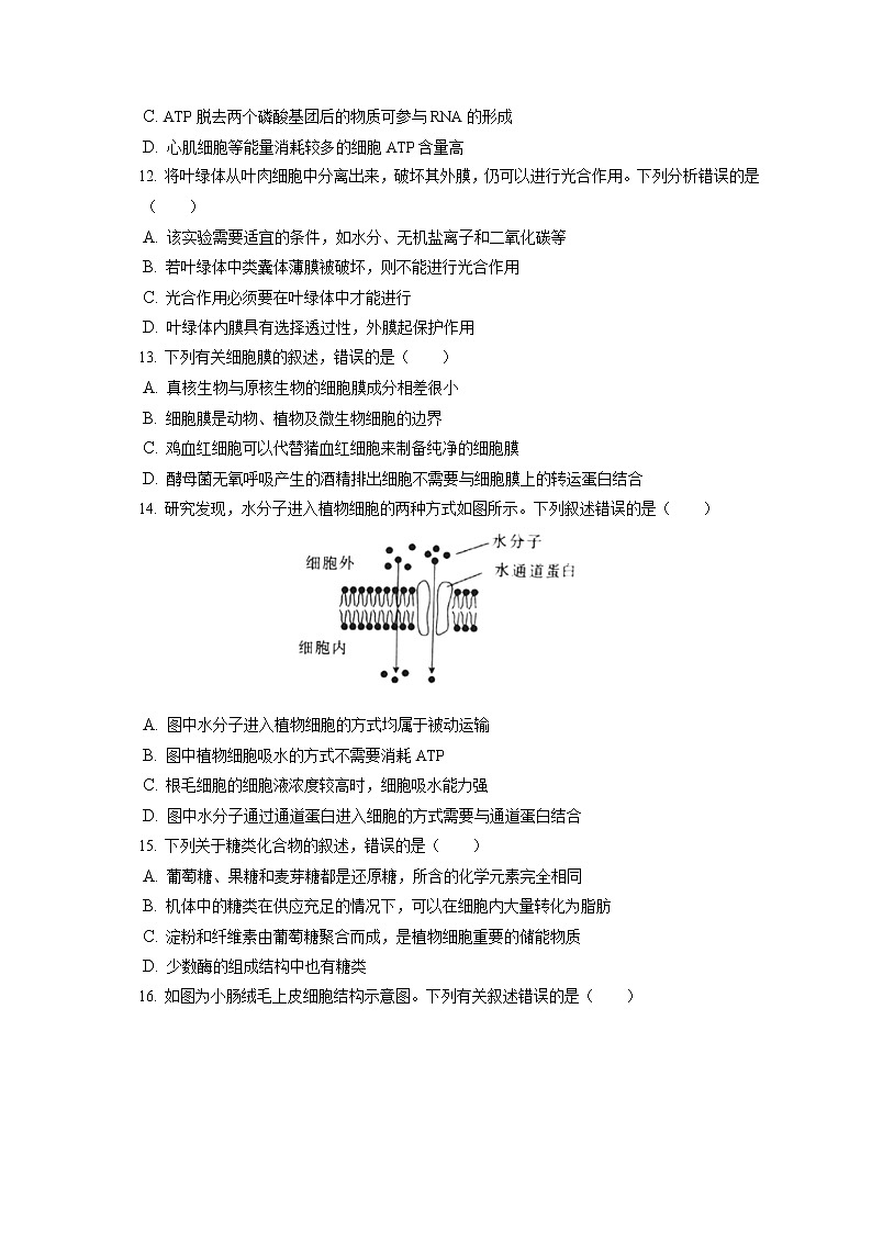 2021-2022学年吉林省白山市高一(上)期末生物试卷(含答案解析)第3页