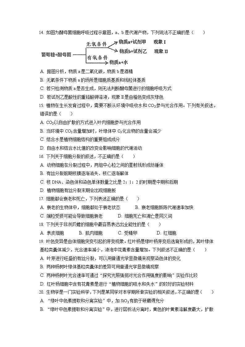 2021-2022学年江西省南昌市高一(上)期末生物试卷(含答案解析)第3页