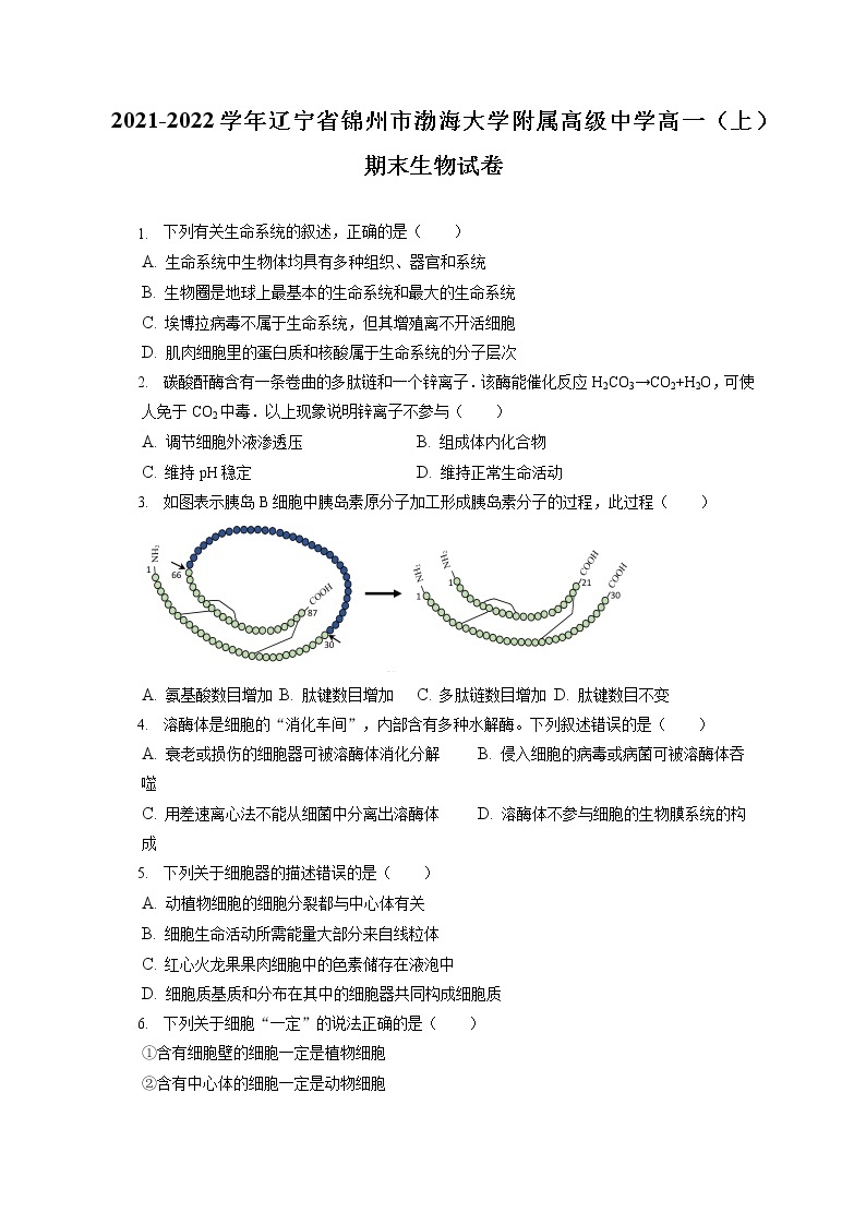 2021-2022学年辽宁省锦州市渤海大学附属高级中学高一（上）期末生物试卷（含答案解析）01