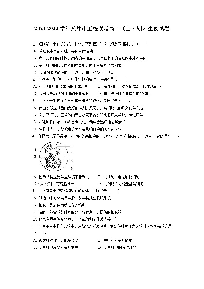 2021-2022学年天津市五校联考高一(上)期末生物试卷(含答案解析)第1页