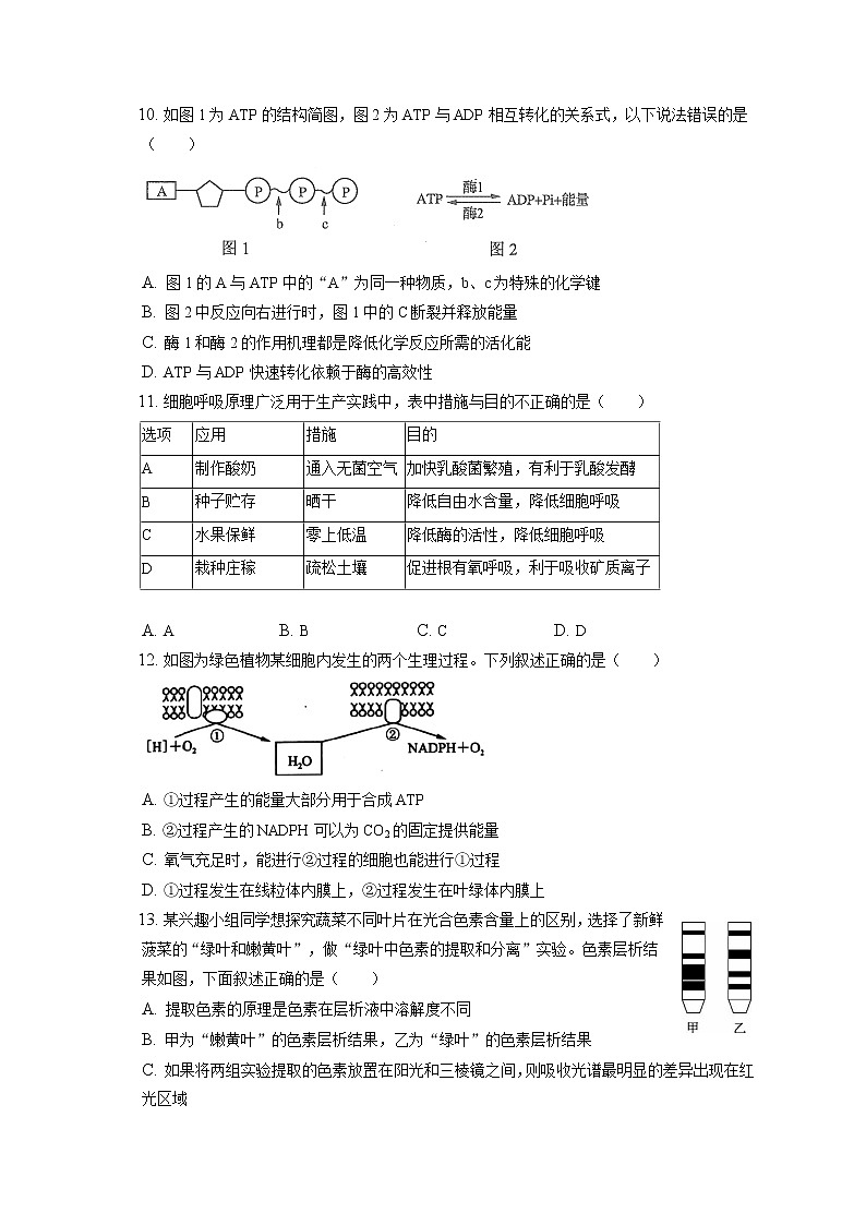 2021-2022学年天津市五校联考高一(上)期末生物试卷(含答案解析)第3页