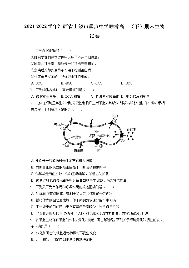 2021-2022学年江西省上饶市重点中学联考高一(下)期末生物试卷(含答案解析)01