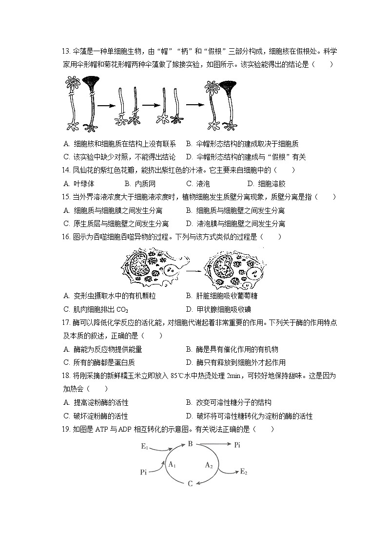 2021-2022学年天津市部分区高一(上)期末生物试卷(含答案解析)03