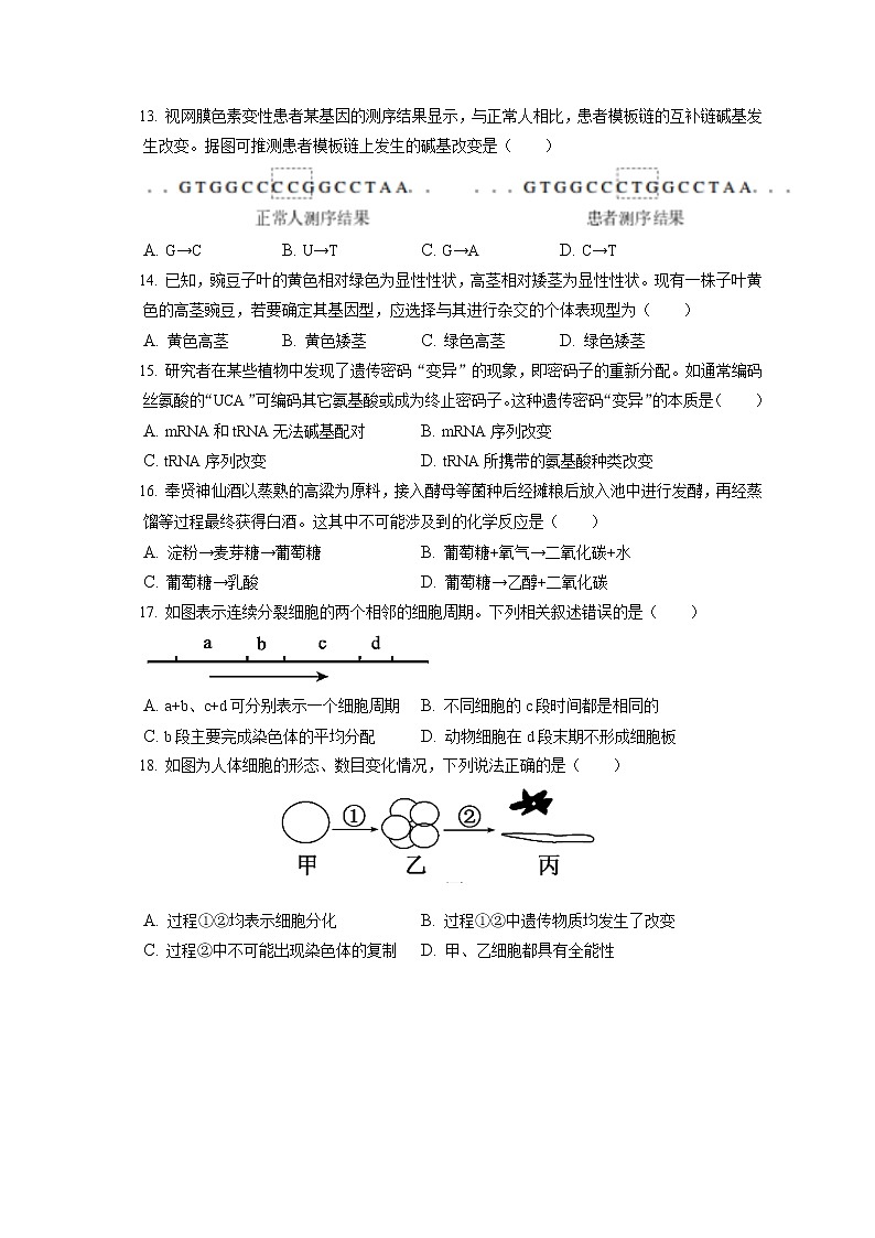2021-2022学年上海市上海中学高一(下)期末生物试卷(含答案解析)03