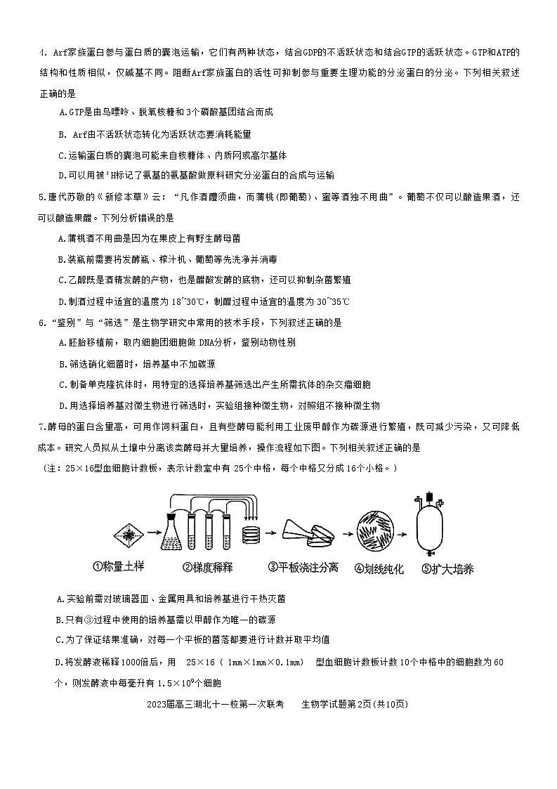 2023湖北十一校高三第一次联考(12.8)生物试题缺答案第2页