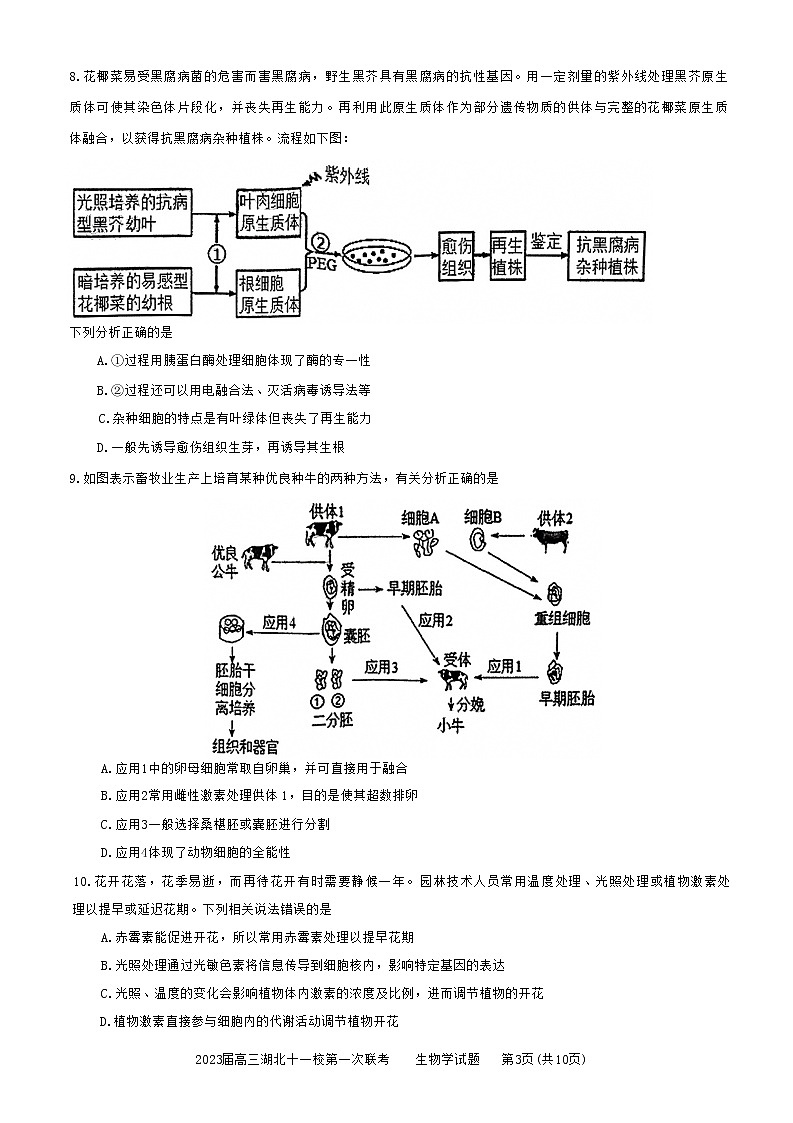 2023湖北十一校高三第一次联考(12.8)生物试题缺答案第3页