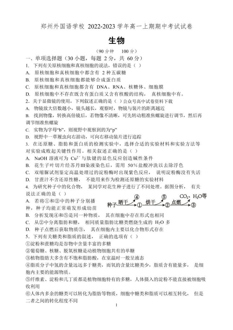 2023郑州外国语学校高一上学期期中生物试题PDF版含答案01