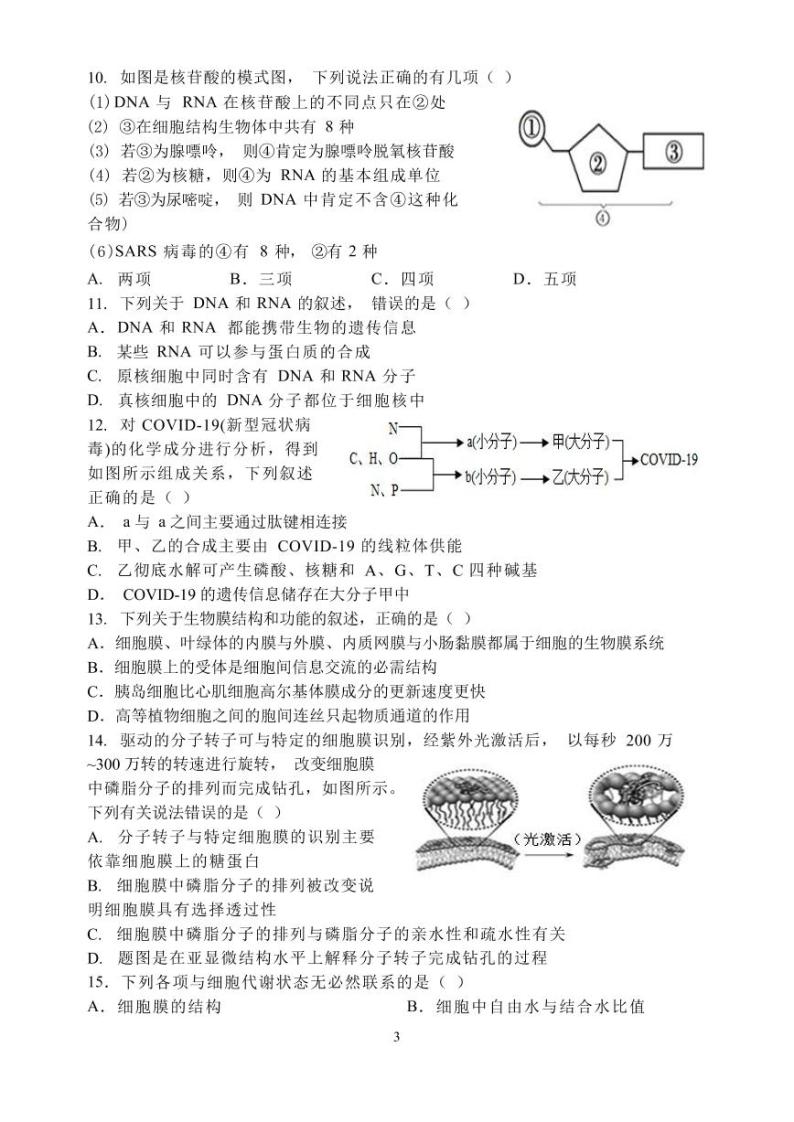 2023郑州外国语学校高一上学期期中生物试题PDF版含答案03